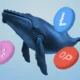 3 altcoins that whales are currently buying for potential gains in march 2025 1024x576 1 80x80